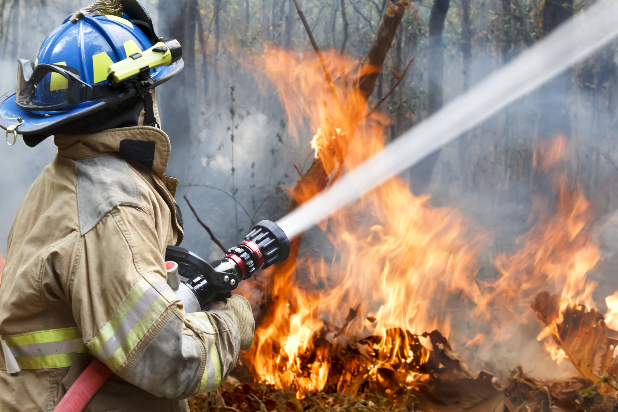You are currently viewing How Fire Barriers Play a Crucial Role in Protecting Our Environment